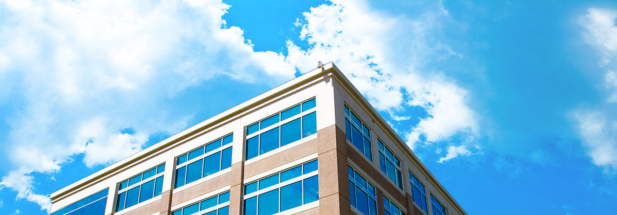 快速协议适配的自动攻击网站工具下载